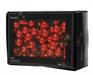 PALLINE DI NATALEA GRAPPOLO ROSSE 12 PZ 2 CM