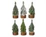 MINI ALBERO SU BASE IN LEGNO 5XH.11 CM ASSORTITO