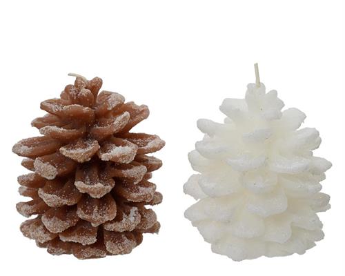 CANDELA FORMA PIGNA 2 COLORI ASSORTITI