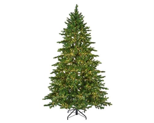 ALBERO DI NATALE 210 CM GALLOWAY SPRUCE LUMINOSO 4000 LED