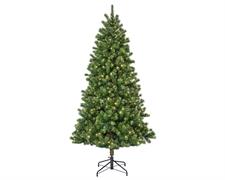 ALBERO DI NATALE 210 CM KENMORE FIR LUMINOSO 500 MICRO LED