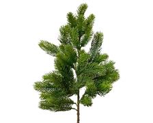 RAMETTO PINO VERDE H.50 CM