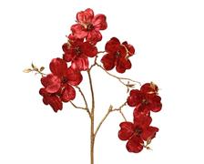 RAMO CORNIOLO ROSSO H.90 CM