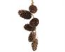 PENDENTE CORDA CON PIGNE 20X7,5X2,5 CM