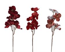 RAMO CON FIORI ROSSI / BORDEAUX H.60 CM ASSORTITO