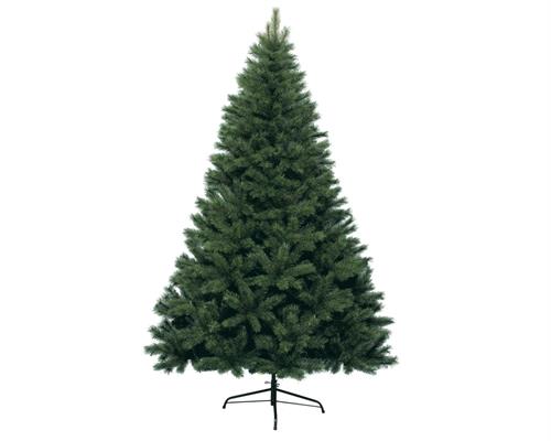 ALBERO DI NATALE 240 CM CANADA SPRUCE