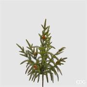 CRYPTOMERIA RAMO H.44 CM