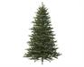 ALBERO DI NATALE 240 CM QUEENSLAND FIR