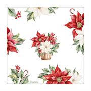 TOVAGLIOLI STELLA DI NATALE 33X33 CM 16 PZ