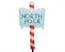 FIGURA ACRILICA POLO NORD 30 LED