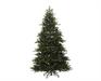ALBERO DI NATALE 300 CM QUEENSLAND FIR