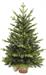 ALBERO 75CM PINO CON BASE JUTA